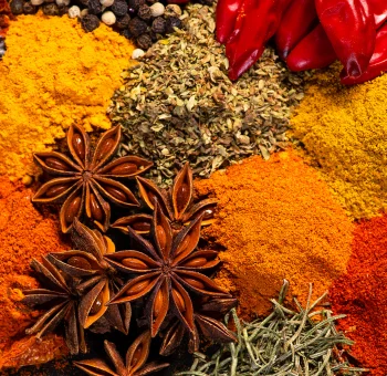 Meat Masala B2B supplier and exporter in India