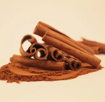 Cinnamon Powder B2B supplier and exporter in India