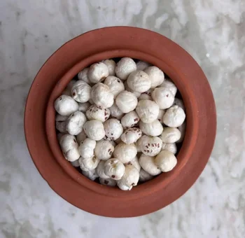 Fox Nuts B2B supplier and exporter in India