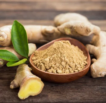 Ginger Powder B2B supplier and exporter in India