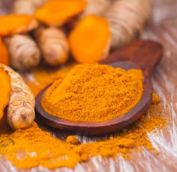 Turmeric Powder B2B supplier and exporter in India